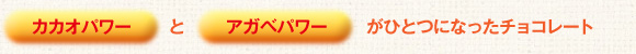 カカオパワーとアガベパワーがひとつになったチョコレート