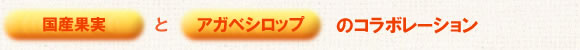 国産果実とアガベシロップのコラボレーション
